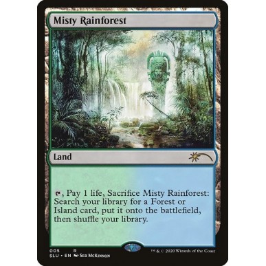 Misty Rainforest