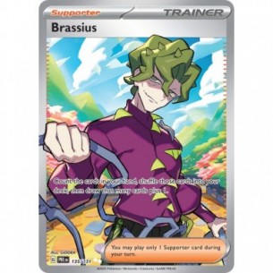 Brassius