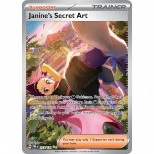 Janine's Secret Art