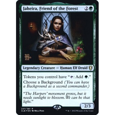 Jaheira, Friend of the Forest