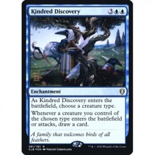 Kindred Discovery