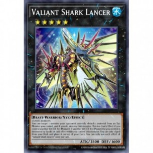 Valoroso Squalo Lanciere