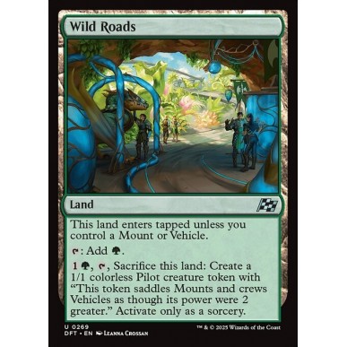 Wild Roads