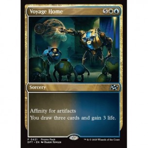 Voyage Home