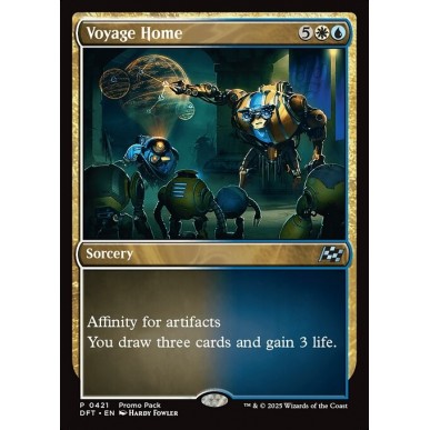 Voyage Home