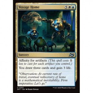 Voyage Home