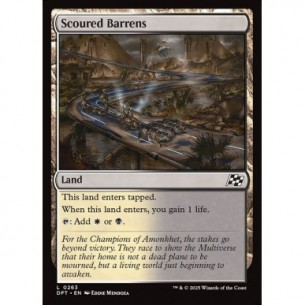 Scoured Barrens