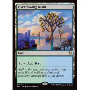 Overflowing Basin