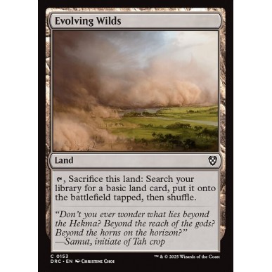 Evolving Wilds