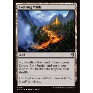 Evolving Wilds