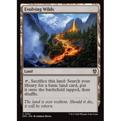 Evolving Wilds