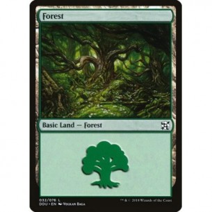 Forest