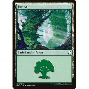 Forest