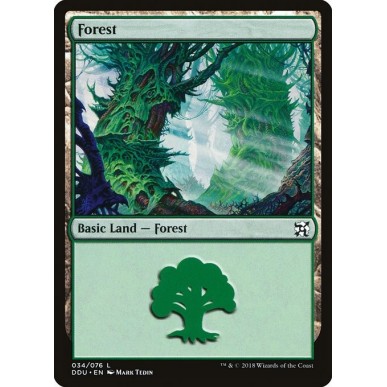 Forest