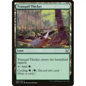 Tranquil Thicket