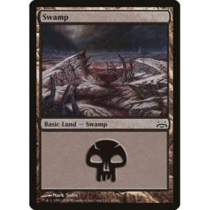 Swamp
