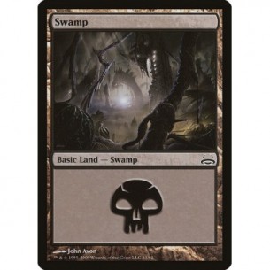 Swamp
