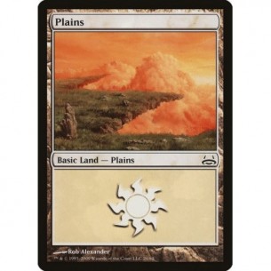 Plains