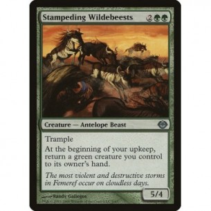 Stampeding Wildebeests