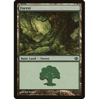 Forest