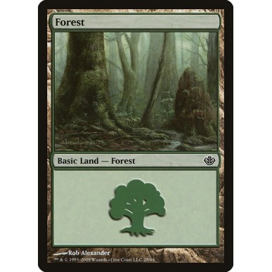 Forest
