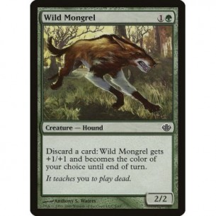 Wild Mongrel