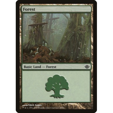 Forest