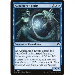 Aquamorph Entity