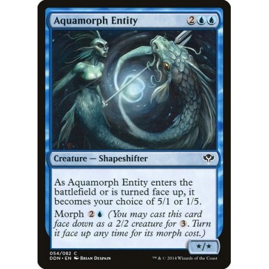 Aquamorph Entity