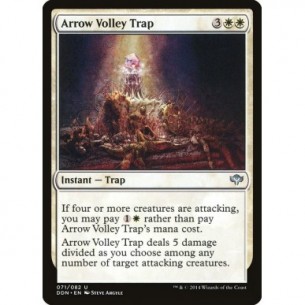 Arrow Volley Trap