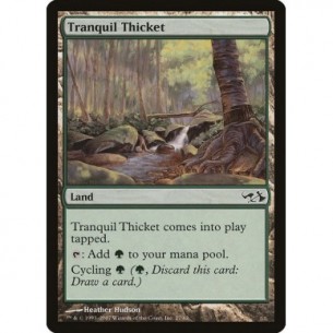 Tranquil Thicket