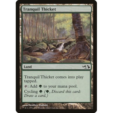 Tranquil Thicket