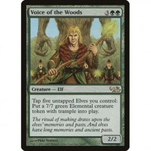 Voice of the Woods