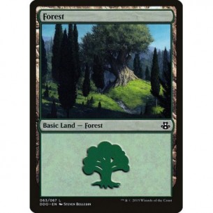 Forest