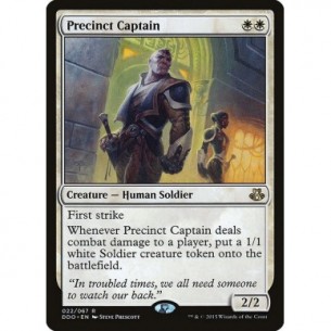 Precinct Captain