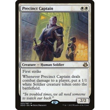 Precinct Captain