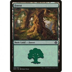 Forest