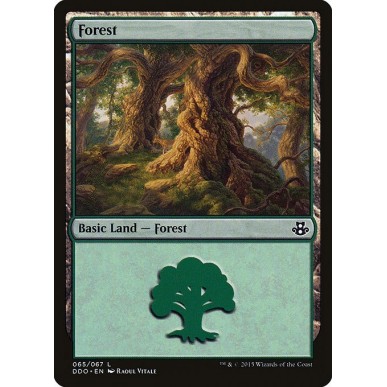 Forest