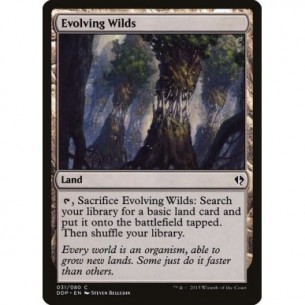Evolving Wilds