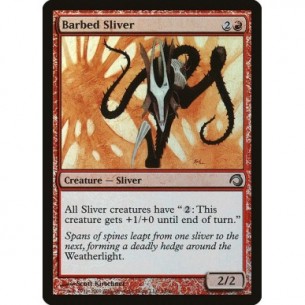 Barbed Sliver