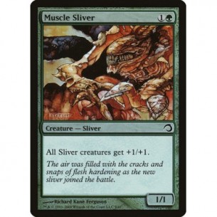 Muscle Sliver