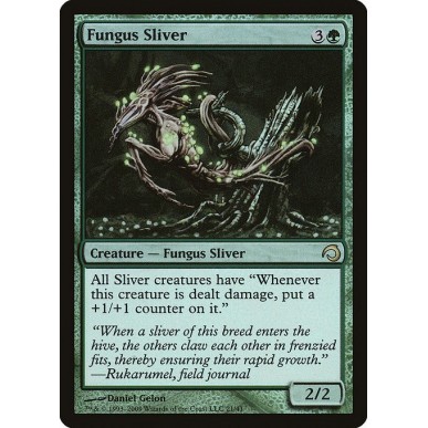 Fungus Sliver