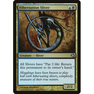 Hibernation Sliver