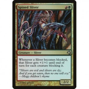 Spined Sliver