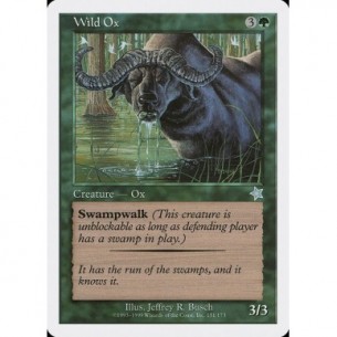 Wild Ox