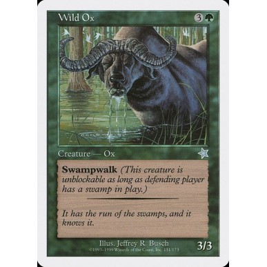 Wild Ox