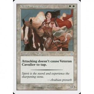 Veteran Cavalier