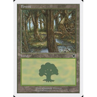 Forest