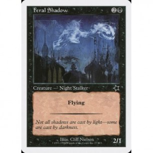 Feral Shadow
