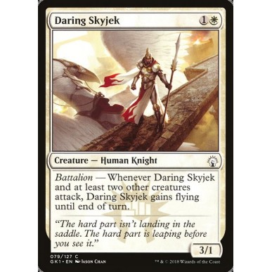 Skyjek Audace
